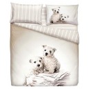 Completo letto Bassetti MESSENGER