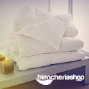 Piumone Bassetti 100% piumino