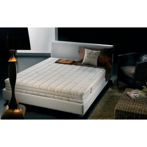 Materasso Waterlily Soia ProgressPlus con fodera Silver 